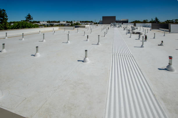 Best Wood Shake Roofing  in Madera, CA